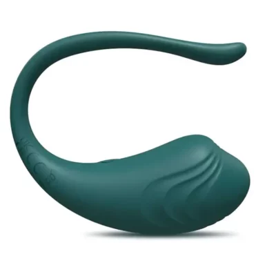 oeuf vibrant connecté coquin