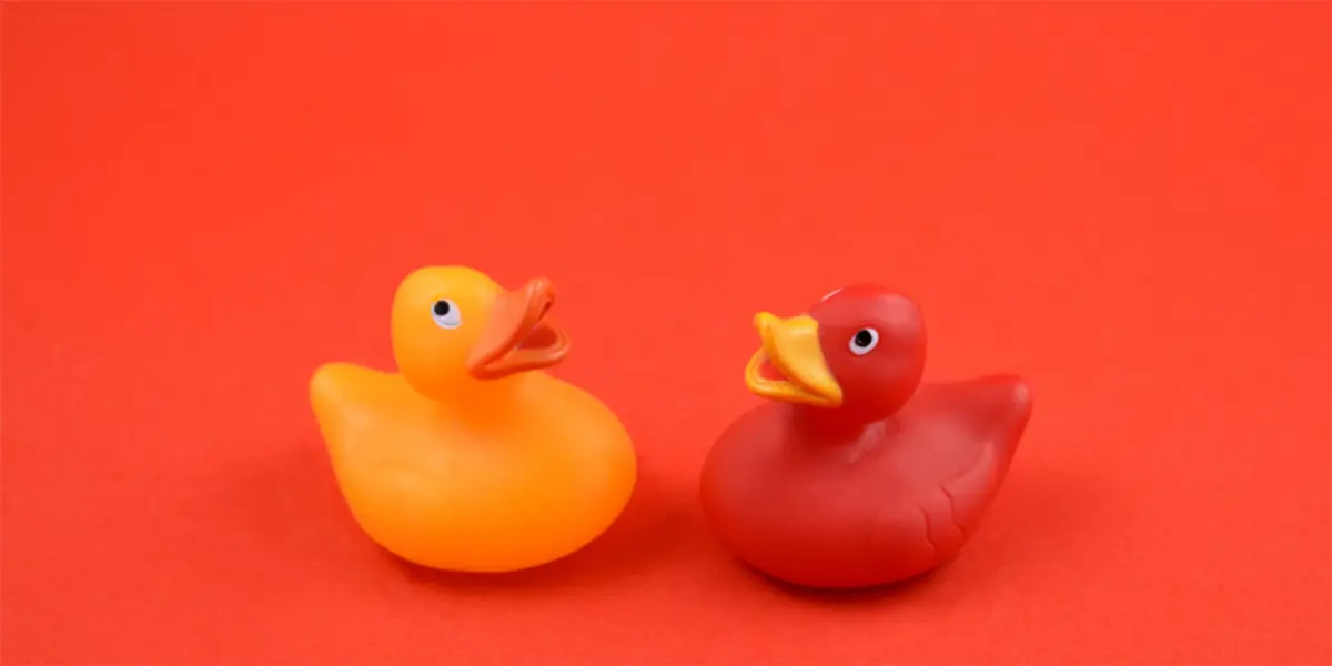 Comparatif des meilleurs canards vibrants