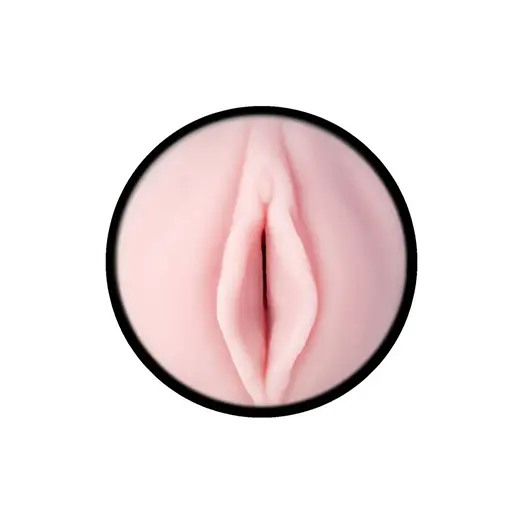 Masturbateur Fleshlight Classic Pink Lady Destroya